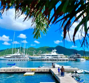 Superyachts moored at the marina under palm fronds